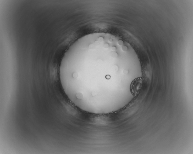 X0000111880468200908061317