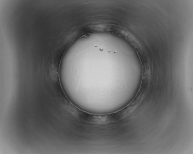 X0000111880469200908061317