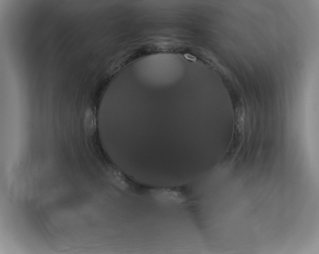 X0000111880471200908061317