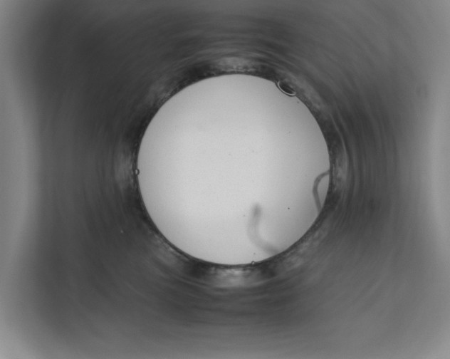 X0000111880473200908061317