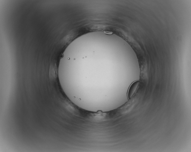 X0000111880474200908061317