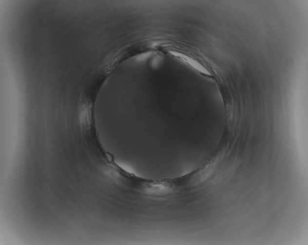 X0000111880475200908061317