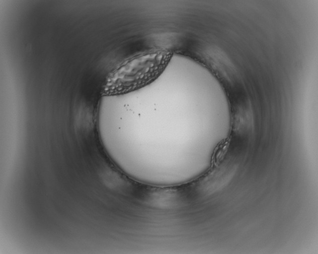 X0000111880476200908061317