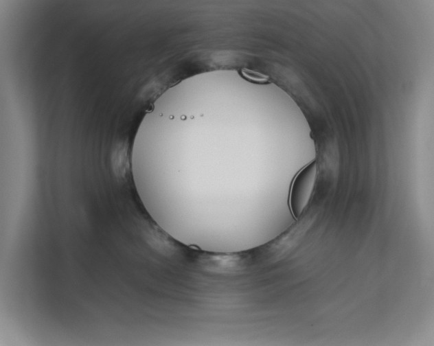 X0000111880478200908061317