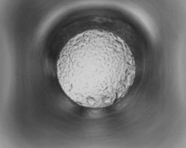 X0000111880479200908061317