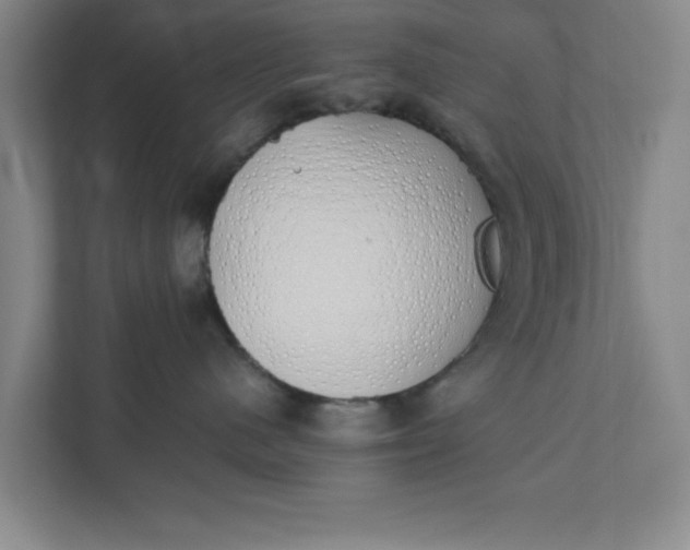 X0000111880480200908061317