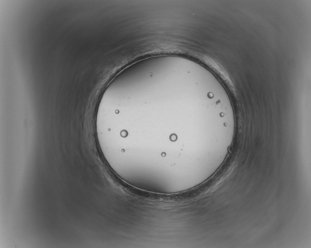 X0000111880481200908061317