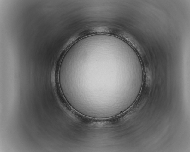 X0000111880482200908061317