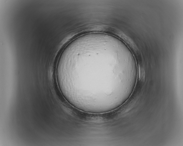 X0000111880483200908061317