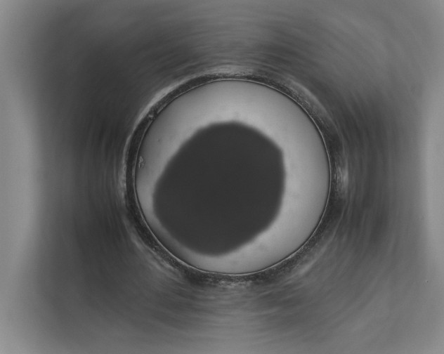 X0000111880484200908061317