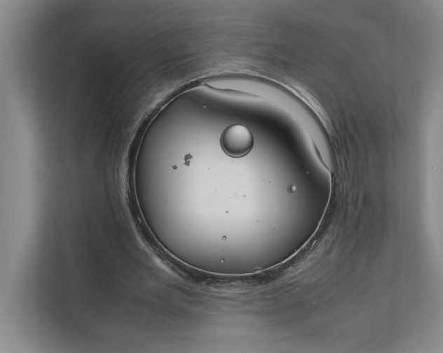 X0000111880485200908061317