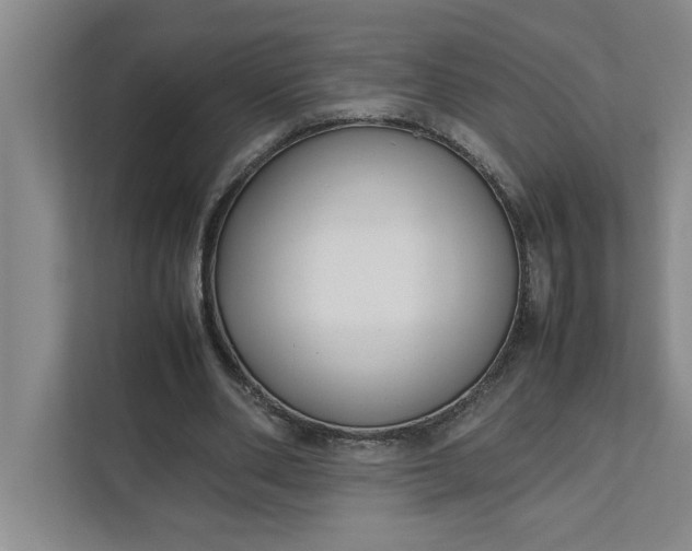 X0000111880486200908061317