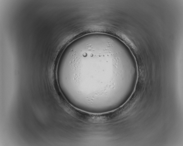 X0000111880487200908061317