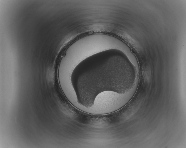 X0000111880488200908061317