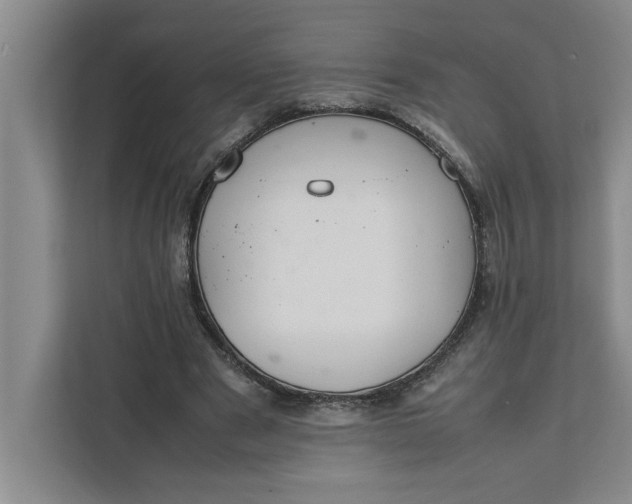 X0000111880489200908061317