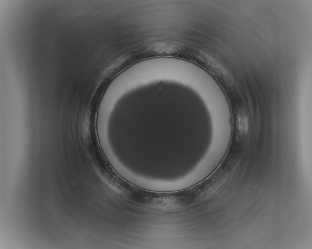 X0000111880492200908061317