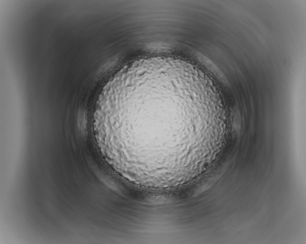 X0000111880494200908061317