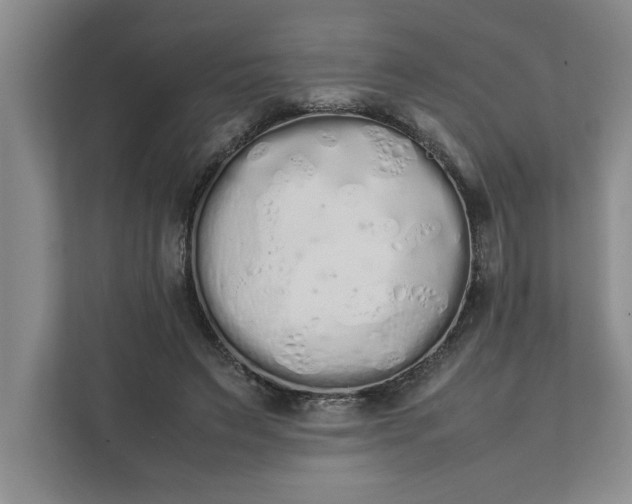 X0000111880495200908061317