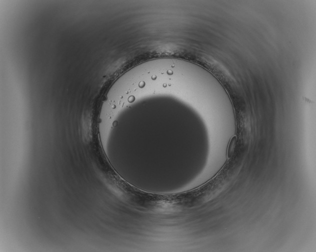 X0000111880496200908061317