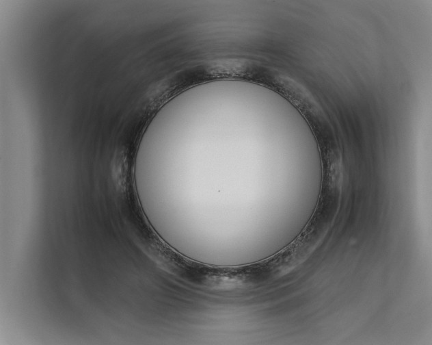 X0000111880498200908061317