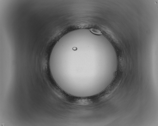 X0000111880499200908061317