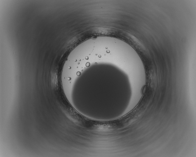 X0000111880500200908061317