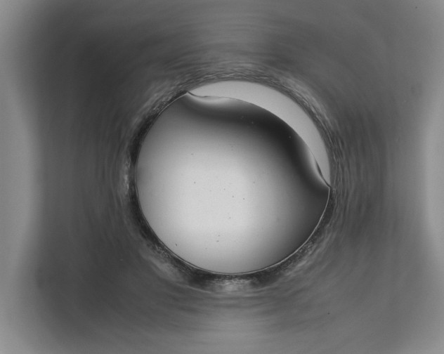 X0000111880501200908061317