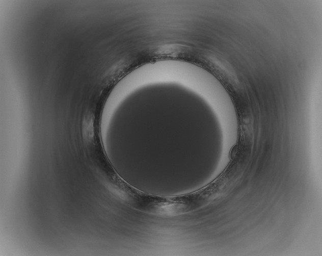 X0000111880504200908061317