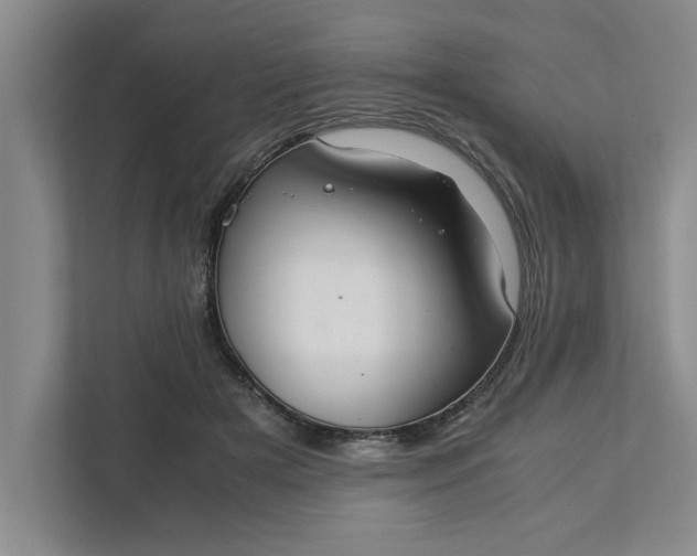 X0000111880505200908061317