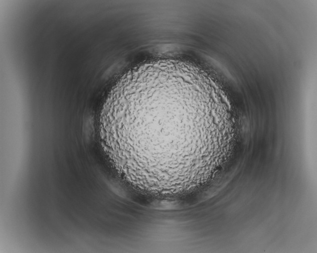 X0000111880506200908061316