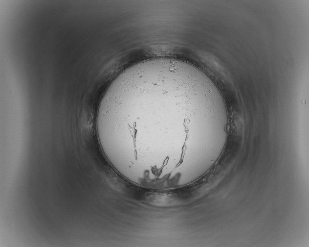 X0000111880507200908061316