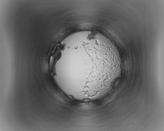 X0000111880508200908061316