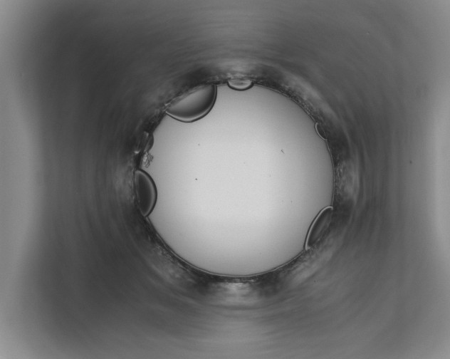 X0000111880509200908061316