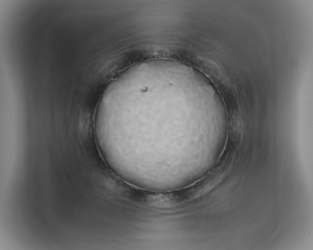 X0000111880511200908061316