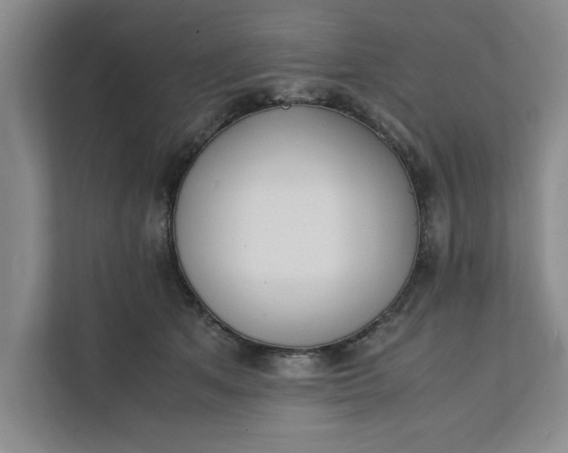 X0000111880513200908061316