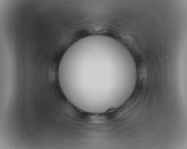 X0000111880515200908061316