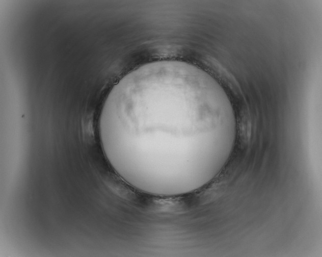 X0000111880516200908061316