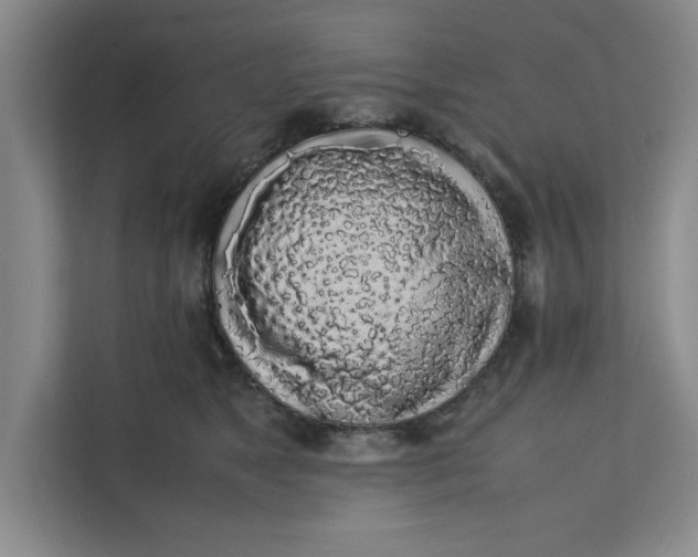 X0000111880517200908061316