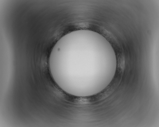 X0000111880518200908061316