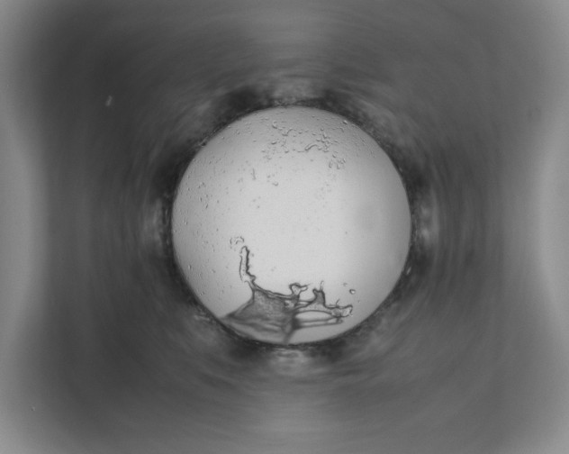 X0000111880519200908061316