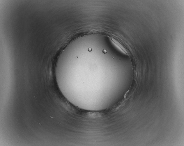 X0000111880520200908061316