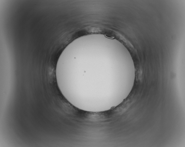 X0000111880521200908061316