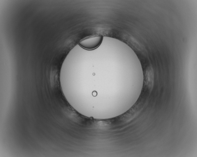 X0000111880522200908061316