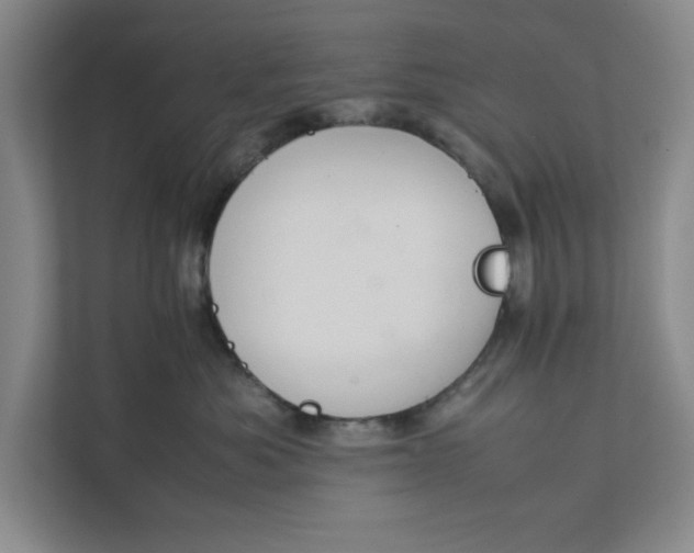 X0000111880525200908061316