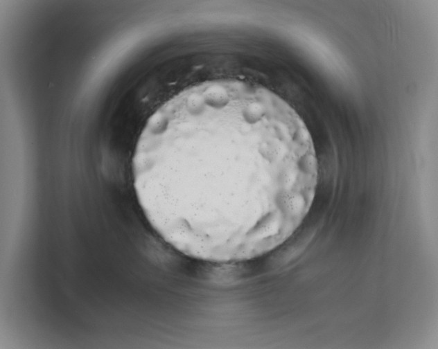 X0000111880527200908061316