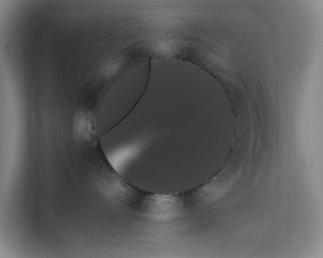 X0000111880528200908061316