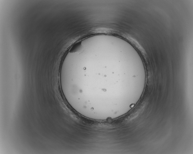 X0000111880529200908061316