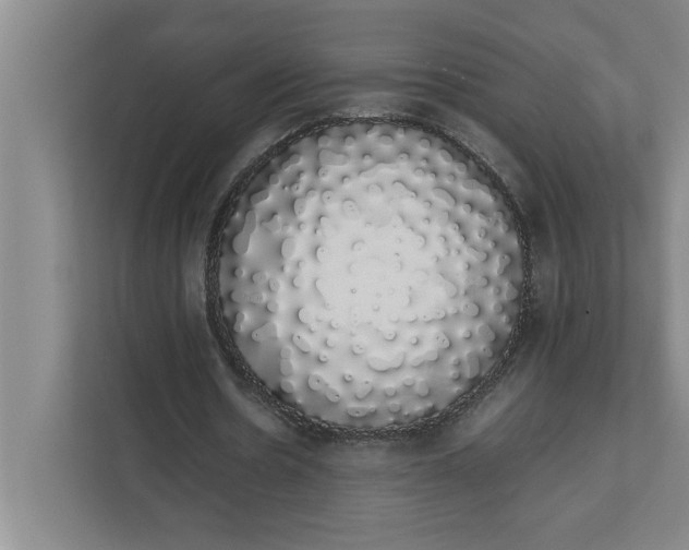 X0000111880530200908061316