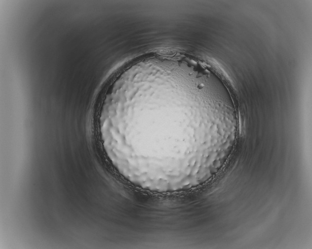 X0000111880531200908061316