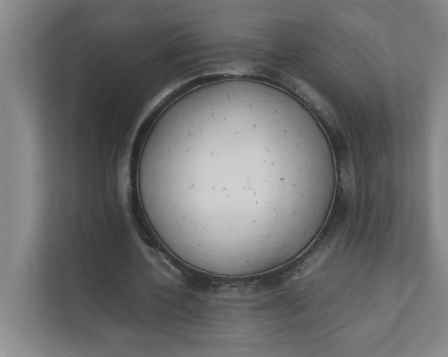 X0000111880532200908061316